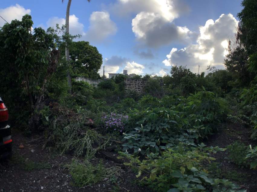 RESIDENTIAL LAND - 11.3 POLES - 4 - Land  on Aster Vender