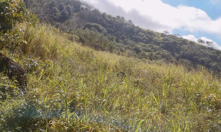 Investment opportunity in Souillac - 1 - Land  on Aster Vender