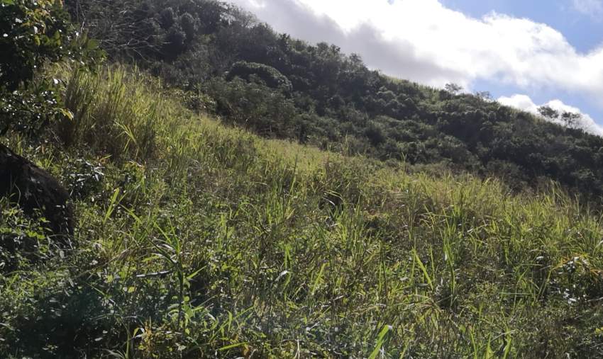 Investment opportunity in Souillac - 0 - Land  on Aster Vender