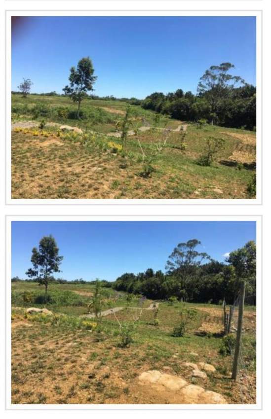 Terrain Agricole 20 perches - 0 - Land  on Aster Vender