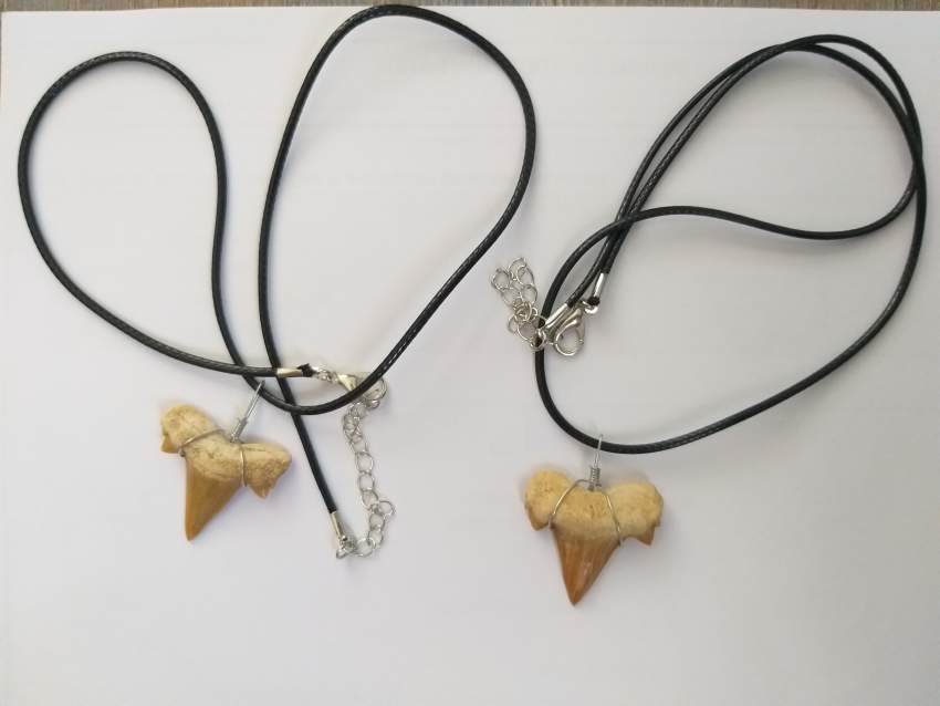 Fossilized Shark Tooth Necklaces - 0 - Necklaces  on Aster Vender