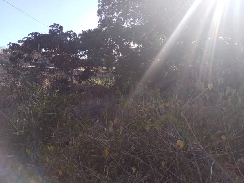 Land - 3 - Land  on Aster Vender