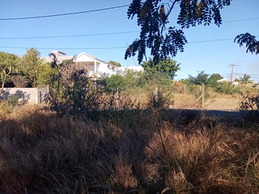 Land - 2 - Land  on Aster Vender