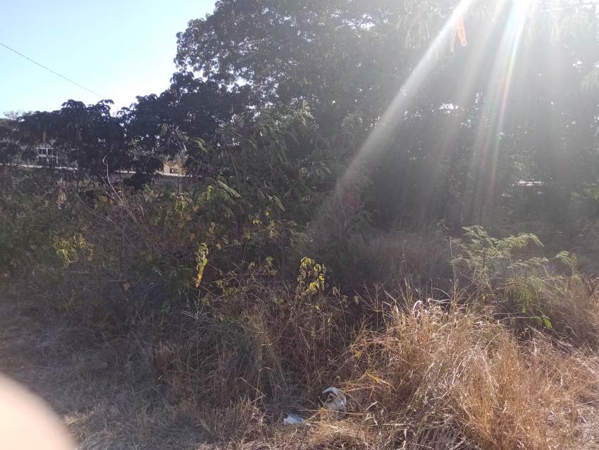 Land - 5 - Land  on Aster Vender