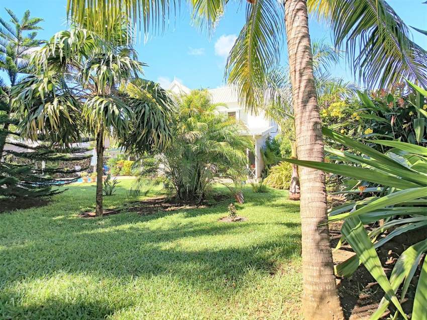 (Ref. MA7-107) À vendre - Roches Noires, belle maison créole - 7 - House  on Aster Vender