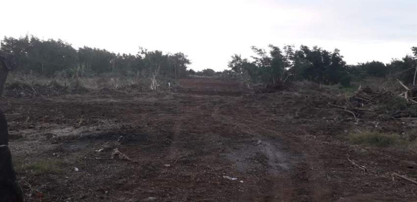 (Ref. MA7-151) À vendre - Arsenal, Petit Gamin. Terrain agricole  - 1 - Land  on Aster Vender