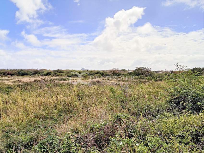 (Ref : MA7-554) Excellent investissement - 3 - Land  on Aster Vender