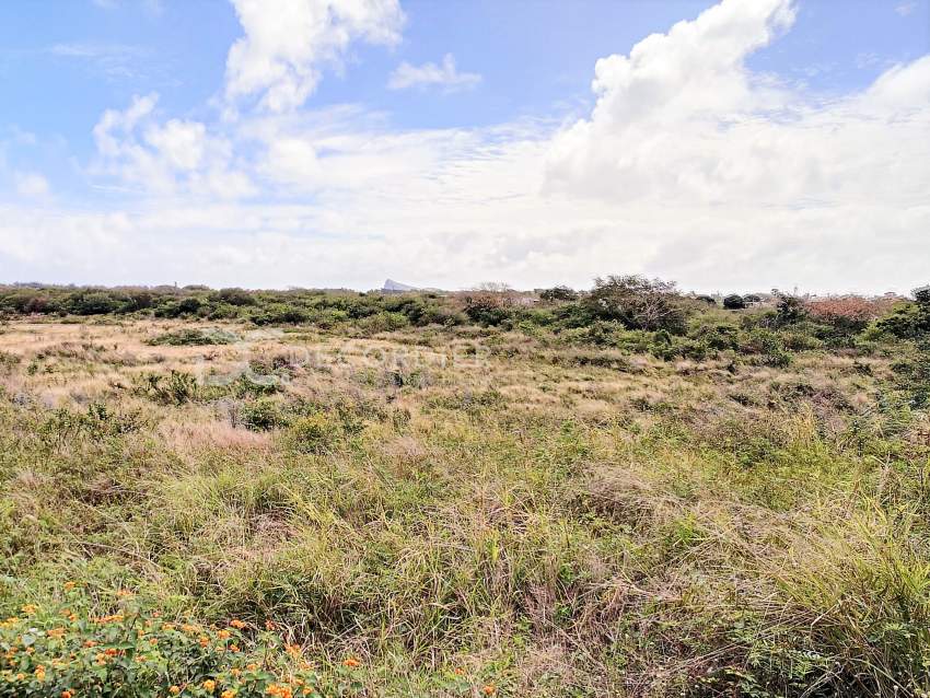 (Ref : MA7-554) Excellent investissement - 1 - Land  on Aster Vender