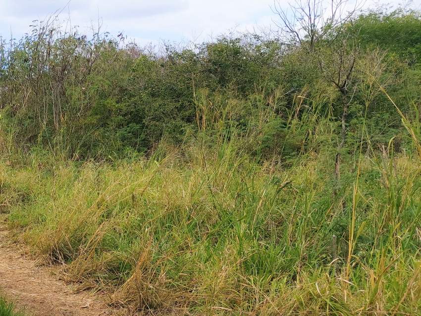 (Ref : MA7-553) Terrain résidentiel proche des commoditès - 2 - Land  on Aster Vender