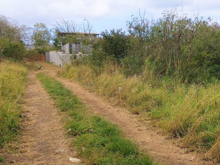 (Ref : MA7-553) Terrain résidentiel proche des commoditès - 3 - Land  on Aster Vender