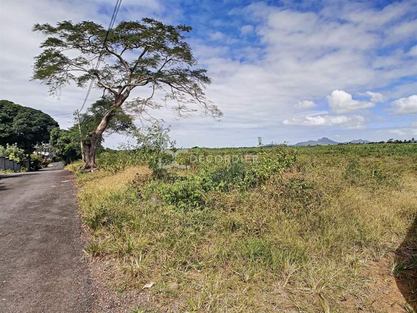 (Ref. MA7-224) Terrain agricole - Mare la Chaux, Flacq - 1 - Land  on Aster Vender