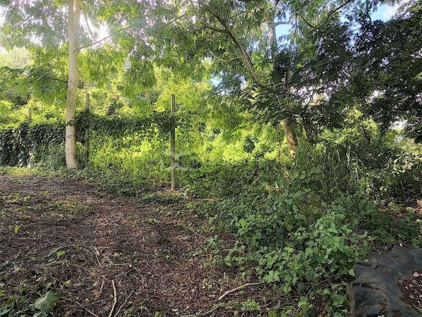 (Ref. MA7-226) A vendre terrain agricole - La Mivoie, Rivière Noire - 5 - Land  on Aster Vender