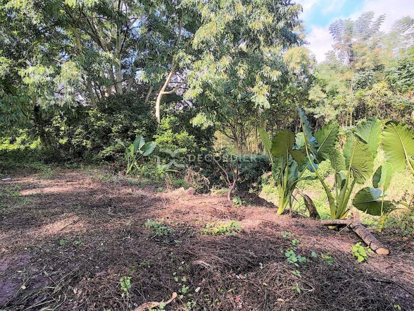 (Ref. MA7-226) A vendre terrain agricole - La Mivoie, Rivière Noire - 3 - Land  on Aster Vender