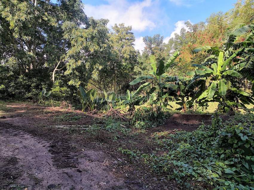 (Ref. MA7-226) A vendre terrain agricole - La Mivoie, Rivière Noire - 4 - Land  on Aster Vender