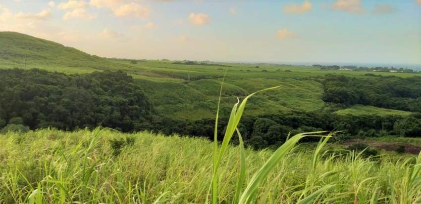 (Ref. MA7-233) À vendre terrain agricole, excellent opportunité  - 1 - Land  on Aster Vender