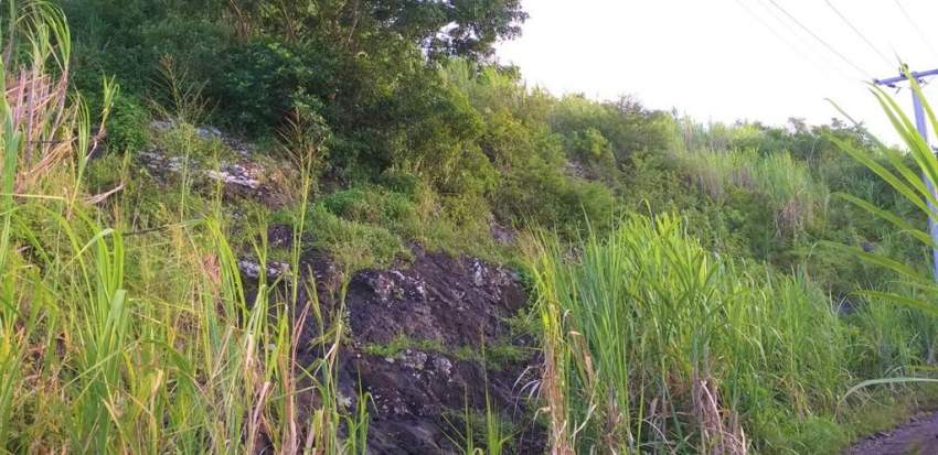 (Ref. MA7-233) À vendre terrain agricole, excellent opportunité  - 3 - Land  on Aster Vender