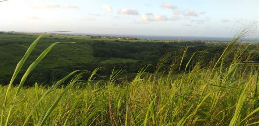 (Ref. MA7-233) À vendre terrain agricole, excellent opportunité  - 2 - Land  on Aster Vender