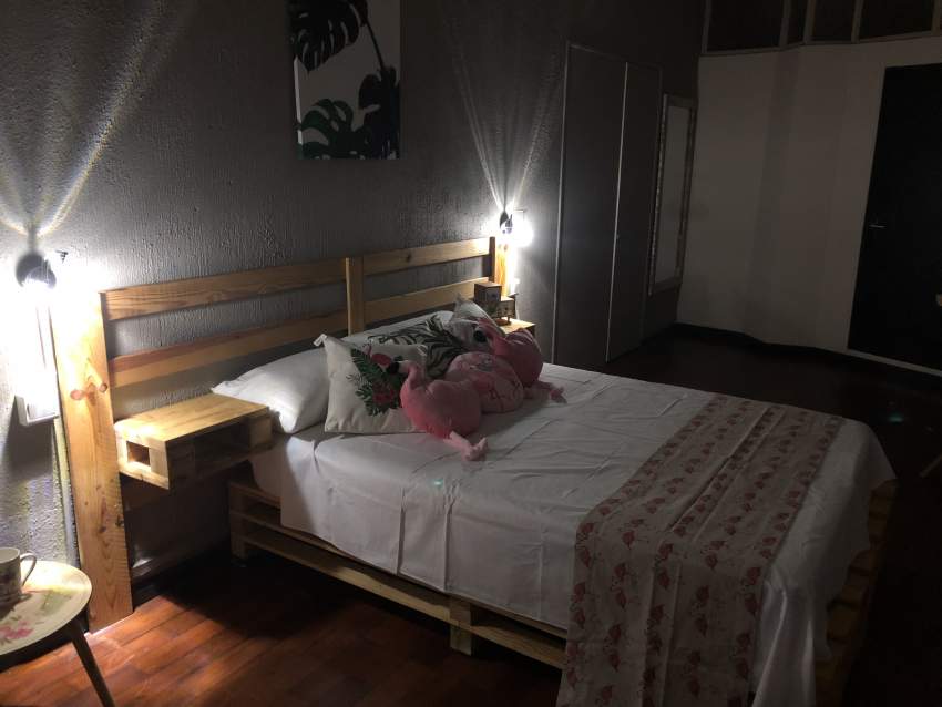 House + Studio  - 2 - House  on Aster Vender