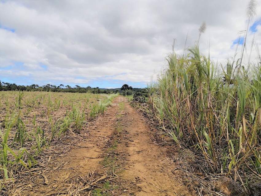 (Ref. MA7-297) Terrain plat, excellent pour un projet agricole - 3 - Land  on Aster Vender