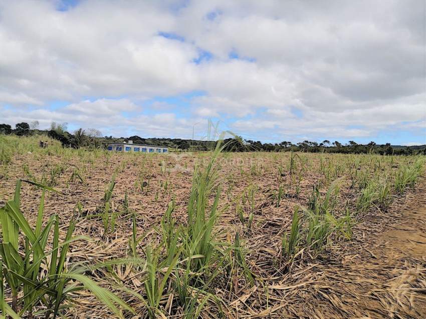 (Ref. MA7-297) Terrain plat, excellent pour un projet agricole - 0 - Land  on Aster Vender