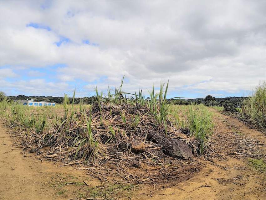 (Ref. MA7-297) Terrain plat, excellent pour un projet agricole - 2 - Land  on Aster Vender