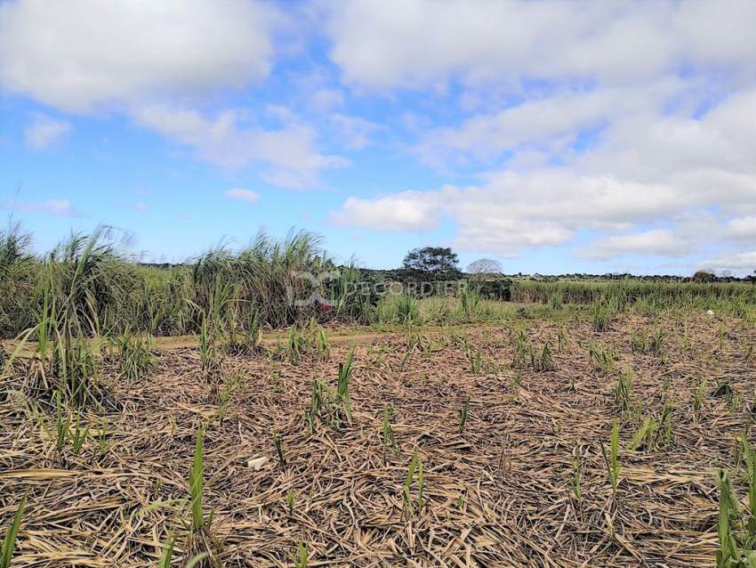 (Ref. MA7-297) Terrain plat, excellent pour un projet agricole - 1 - Land  on Aster Vender