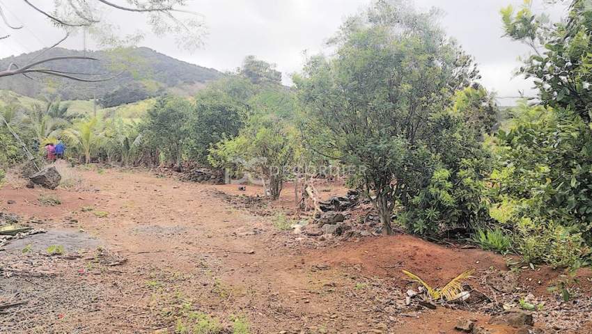 (Ref. MA7-299) Terrain agricole proche de rivière Savanne - 3 - Land  on Aster Vender