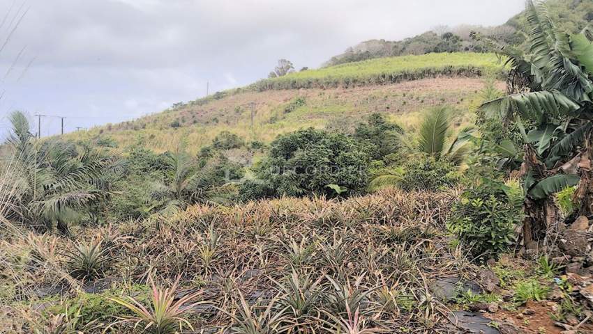 (Ref. MA7-299) Terrain agricole proche de rivière Savanne - 6 - Land  on Aster Vender