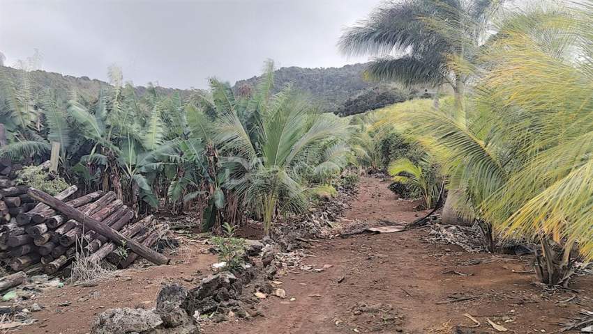 (Ref. MA7-299) Terrain agricole proche de rivière Savanne - 2 - Land  on Aster Vender