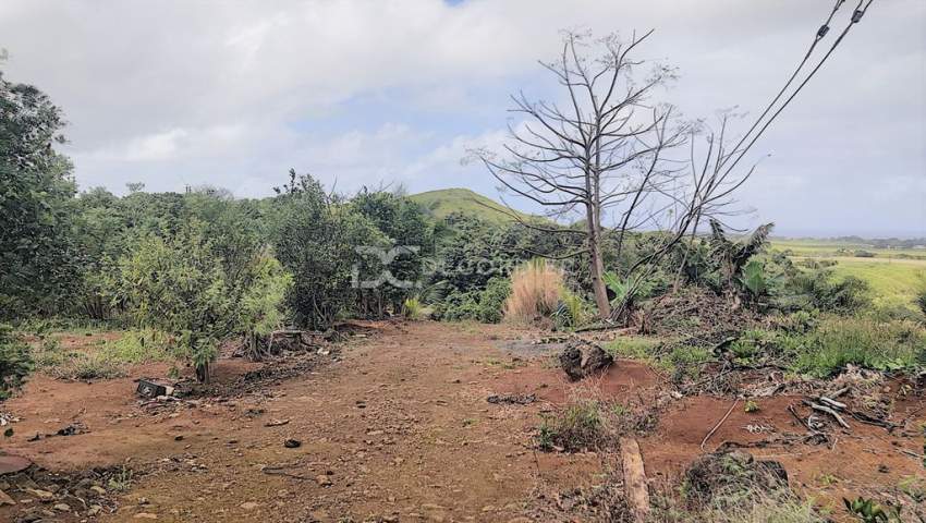 (Ref. MA7-299) Terrain agricole proche de rivière Savanne - 4 - Land  on Aster Vender