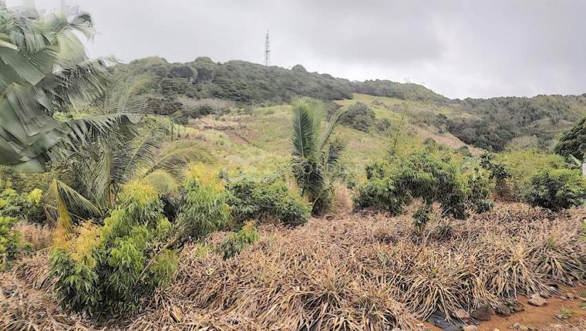 (Ref. MA7-299) Terrain agricole proche de rivière Savanne - 1 - Land  on Aster Vender