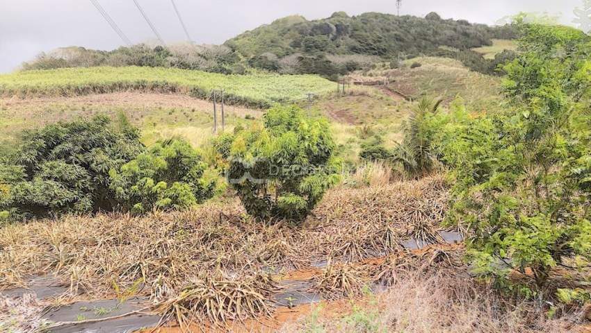 (Ref. MA7-299) Terrain agricole proche de rivière Savanne - 5 - Land  on Aster Vender