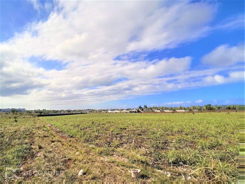 (Ref. MA7-357) Magnifique terrain pour un développement immobilier - 0 - Land  on Aster Vender