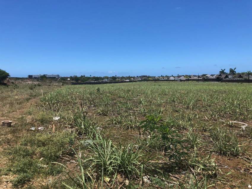 (Ref. MA7-357) Magnifique terrain pour un développement immobilier - 2 - Land  on Aster Vender