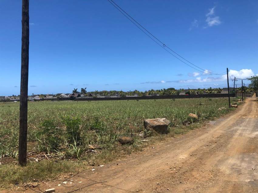 (Ref. MA7-357) Magnifique terrain pour un développement immobilier - 5 - Land  on Aster Vender