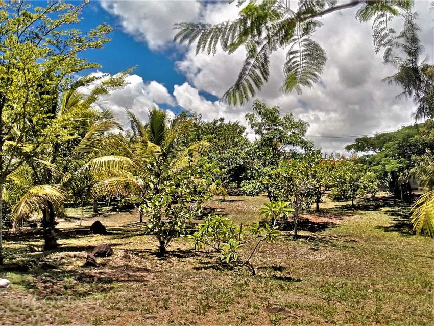 (Ref. MA7-369) BIEN RARE A LA VENTE - (Nord) - 7 - Villas  on Aster Vender