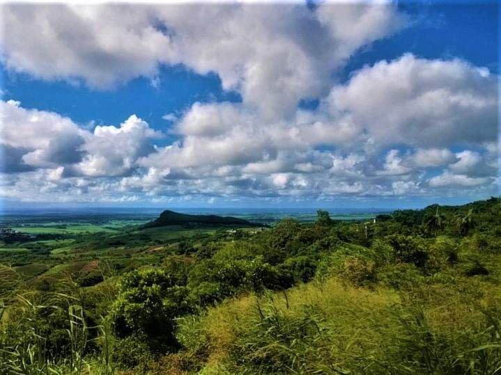 (Ref. MA7-378) Terrain agricole Les Mariannes - Vue incroyable  - 4 - Land  on Aster Vender