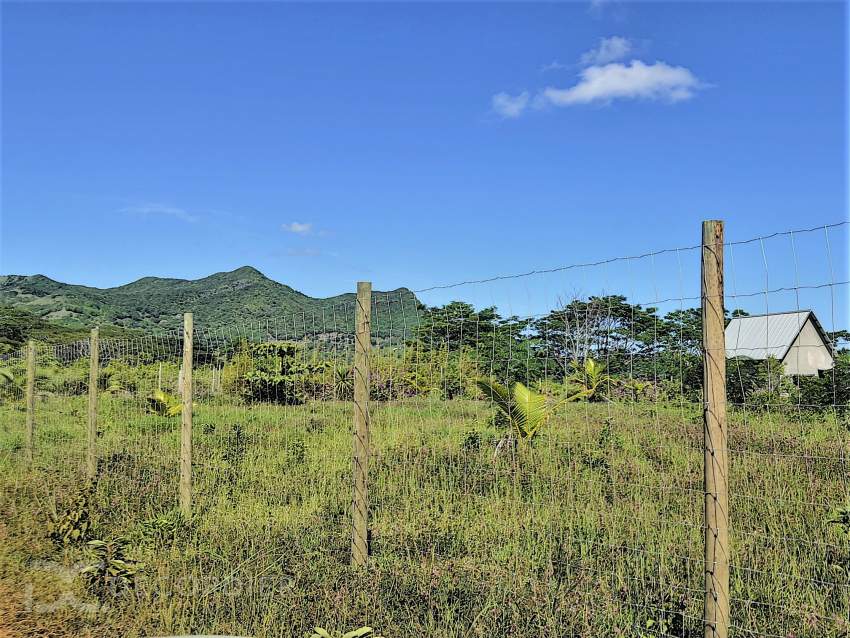 (Ref. MA7-381) Terrain agricole de 464.62 arpents en vente Chamarel - 2 - Commercial Space  on Aster Vender