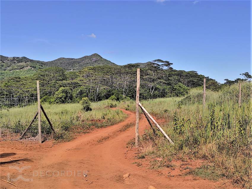 (Ref. MA7-381) Terrain agricole de 464.62 arpents en vente Chamarel - 4 - Commercial Space  on Aster Vender