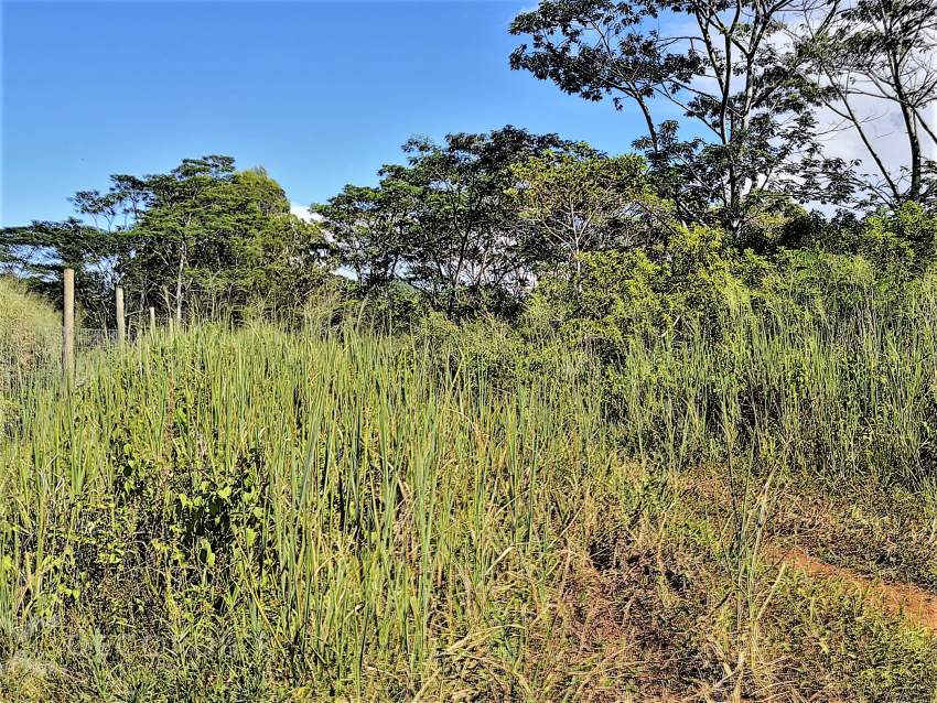 (Ref. MA7-381) Terrain agricole de 464.62 arpents en vente Chamarel - 3 - Commercial Space  on Aster Vender