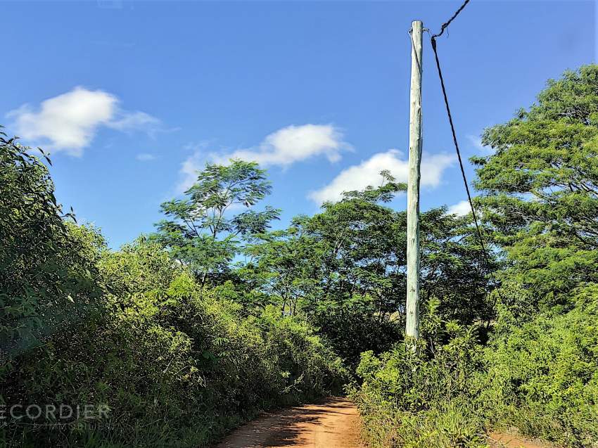 (Ref. MA7-381) Terrain agricole de 464.62 arpents en vente Chamarel - 1 - Commercial Space  on Aster Vender