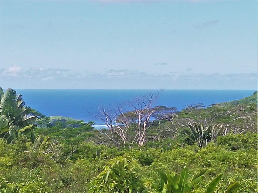 (Ref. MA7-381) Terrain agricole de 464.62 arpents en vente Chamarel - 0 - Commercial Space  on Aster Vender