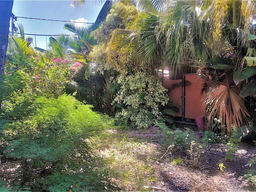 (Ref. MA7-383) Bâtiment commercial sur route principale - 4 - Commercial Space  on Aster Vender