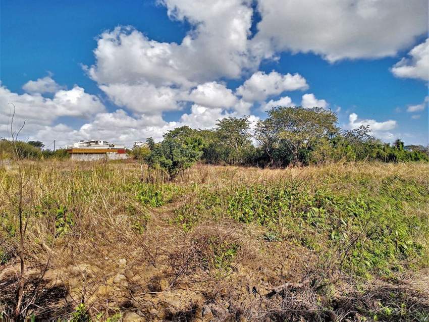 (Ref. MA7-441) Terrain résidentiel proche de Super U - 1 - Land  on Aster Vender