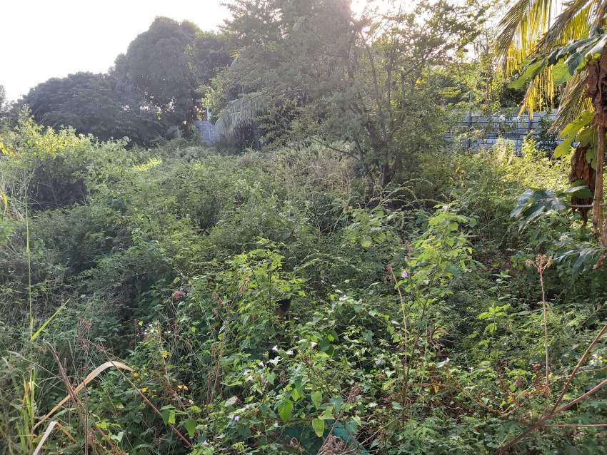 (Ref. MA7-446) Terrain résidentiel proche de l'autoroute - 1 - Land  on Aster Vender