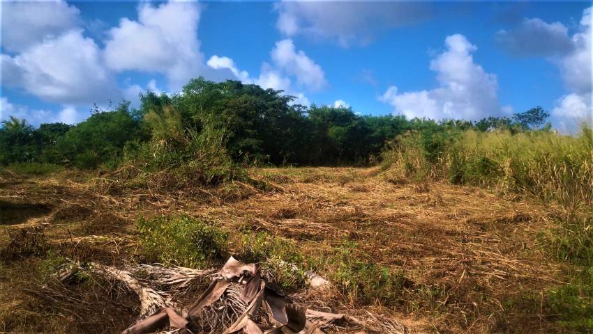 (Ref. MA7-457)  - 3 - Land  on Aster Vender