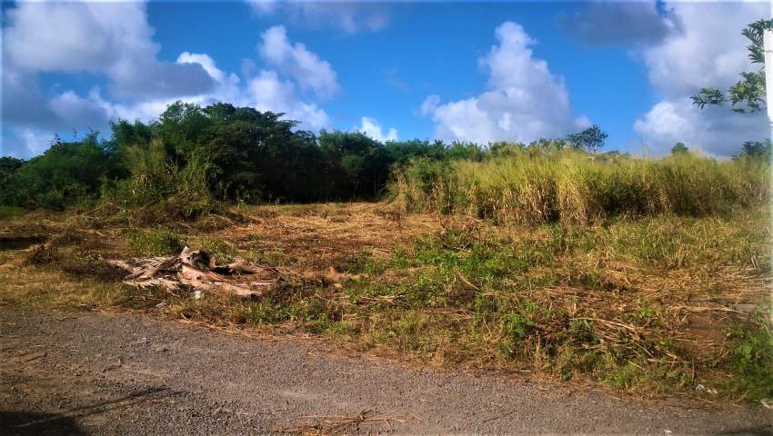 (Ref. MA7-457)  - 1 - Land  on Aster Vender