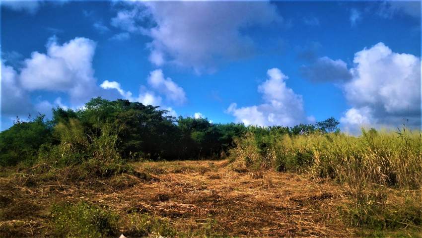 (Ref. MA7-457)  - 2 - Land  on Aster Vender