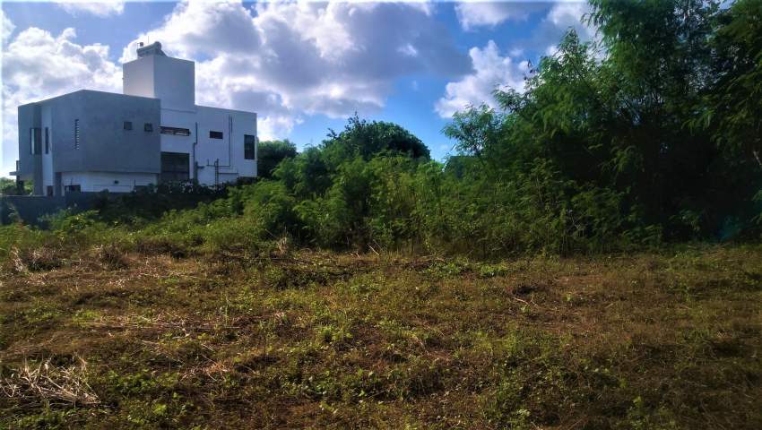 (Ref. MA7-457)  - 5 - Land  on Aster Vender