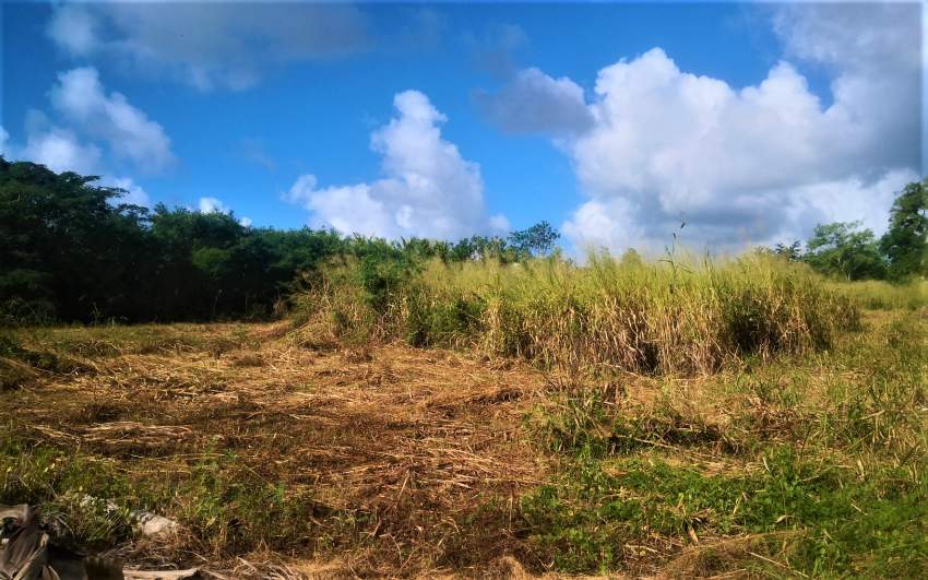 (Ref. MA7-457)  - 6 - Land  on Aster Vender